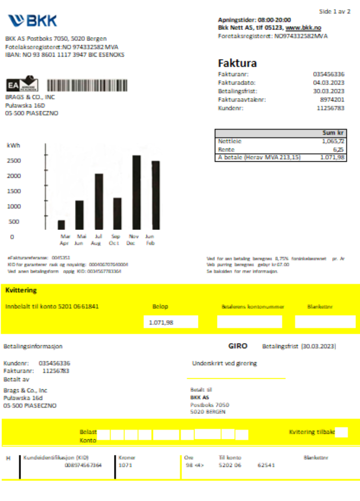 BKK electricity utility business bill SCR PSD template
